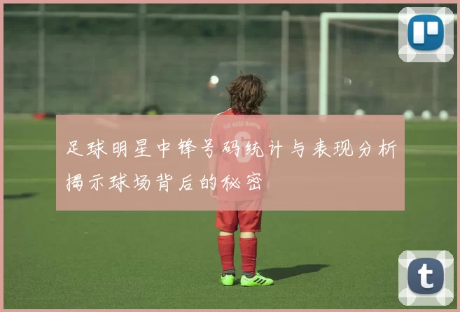 足球明星中锋号码统计与表现分析揭示球场背后的秘密