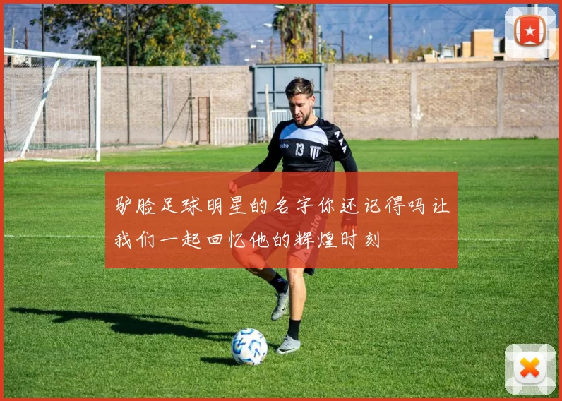驴脸足球明星的名字你还记得吗让我们一起回忆他的辉煌时刻