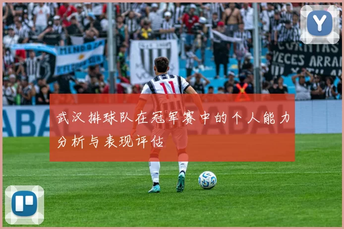 武汉排球队在冠军赛中的个人能力分析与表现评估