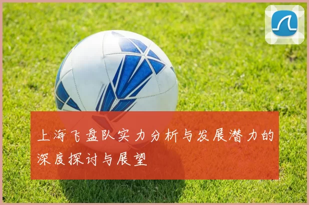 上海飞盘队实力分析与发展潜力的深度探讨与展望