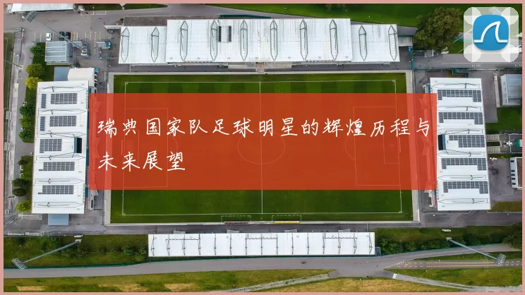 瑞典国家队足球明星的辉煌历程与未来展望