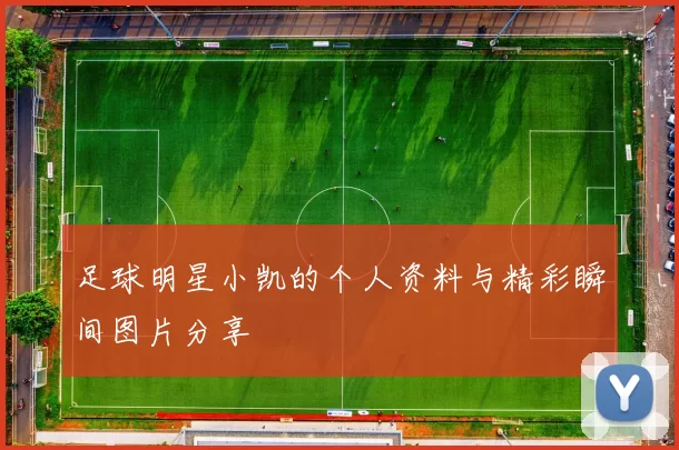 足球明星小凯的个人资料与精彩瞬间图片分享
