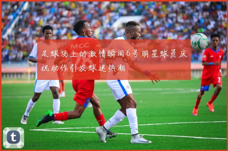 足球场上的激情瞬间6号明星球员庆祝动作引发球迷热潮
