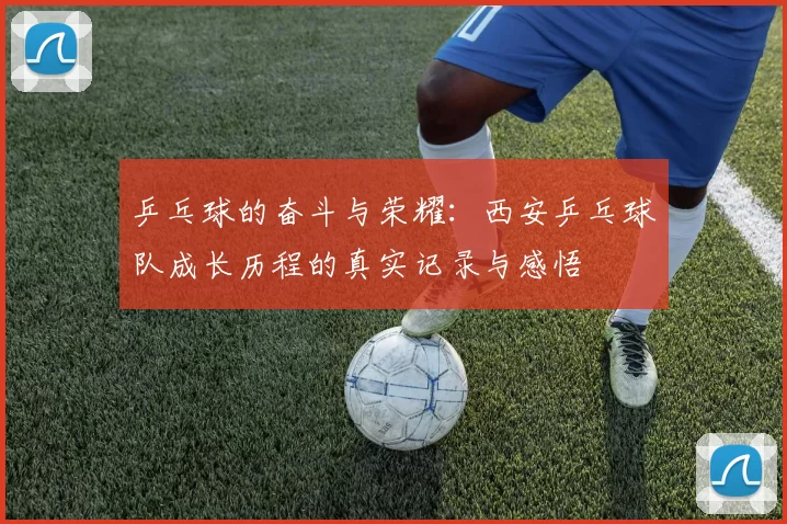 乒乓球的奋斗与荣耀：西安乒乓球队成长历程的真实记录与感悟