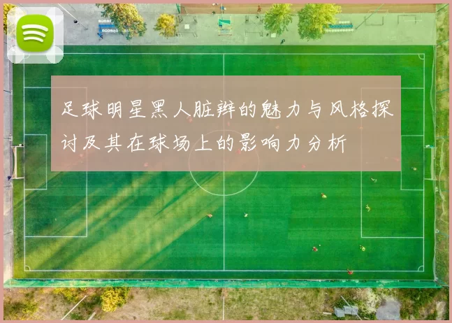 足球明星黑人脏辫的魅力与风格探讨及其在球场上的影响力分析
