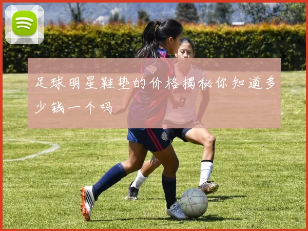 足球明星鞋垫的价格揭秘你知道多少钱一个吗