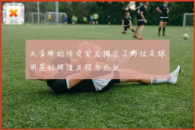 大黄蜂的传奇背后揭示了哪位足球明星的辉煌历程与成就