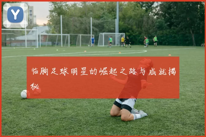 临朐足球明星的崛起之路与成就揭秘