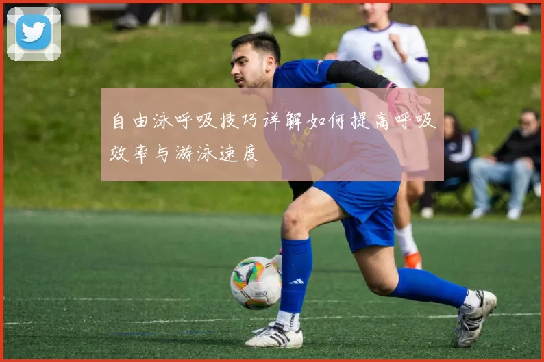 自由泳呼吸技巧详解如何提高呼吸效率与游泳速度
