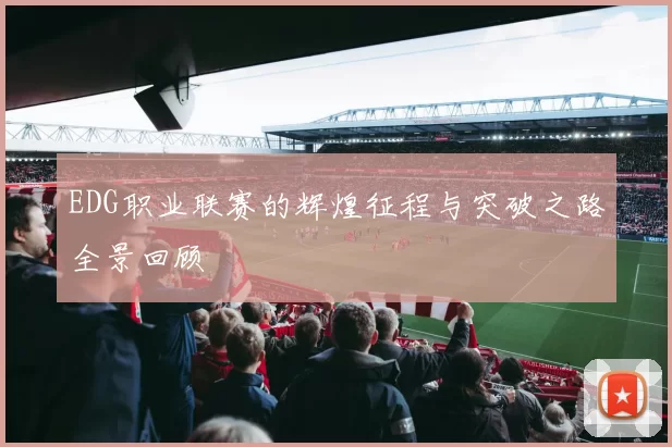 EDG职业联赛的辉煌征程与突破之路全景回顾