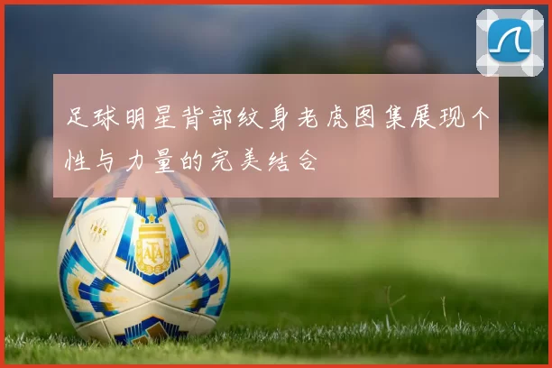 足球明星背部纹身老虎图集展现个性与力量的完美结合