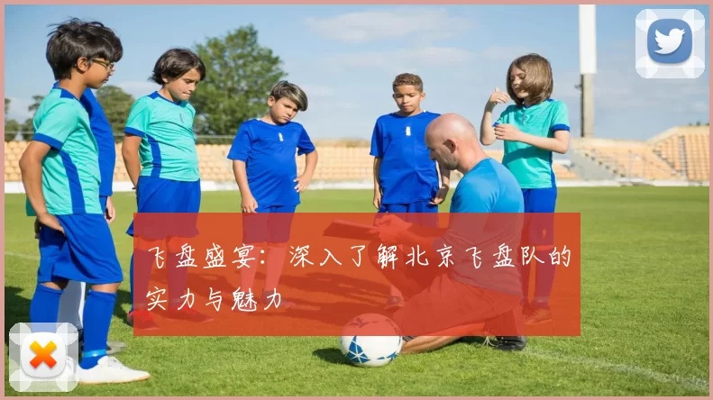 飞盘盛宴：深入了解北京飞盘队的实力与魅力