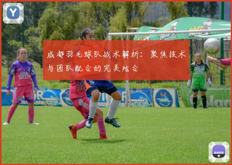 成都羽毛球队战术解析：聚焦技术与团队配合的完美结合