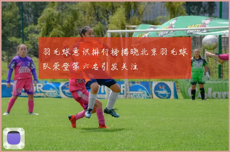 羽毛球意识排行榜揭晓北京羽毛球队荣登第六名引发关注
