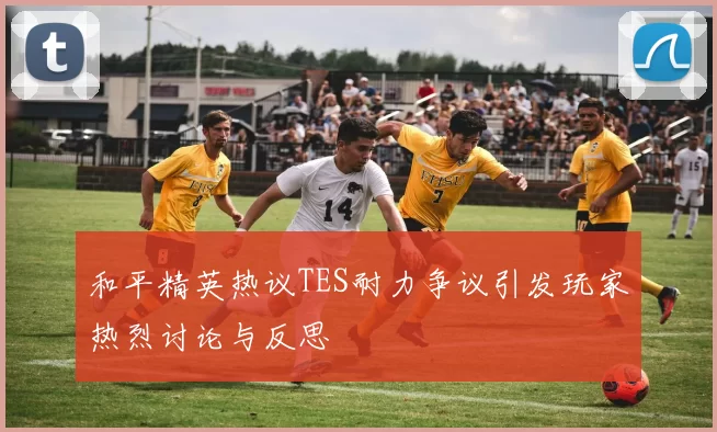 和平精英热议TES耐力争议引发玩家热烈讨论与反思