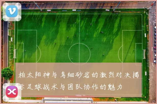 柏太阳神与鸟细砂岩的激烈对决揭示足球战术与团队协作的魅力