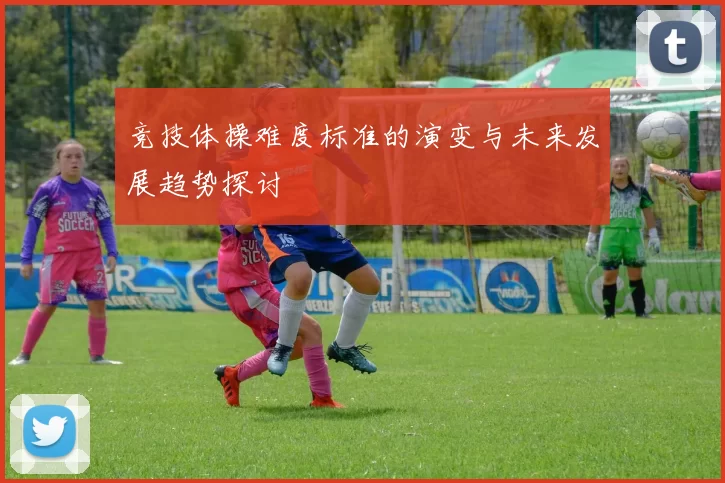 竞技体操难度标准的演变与未来发展趋势探讨