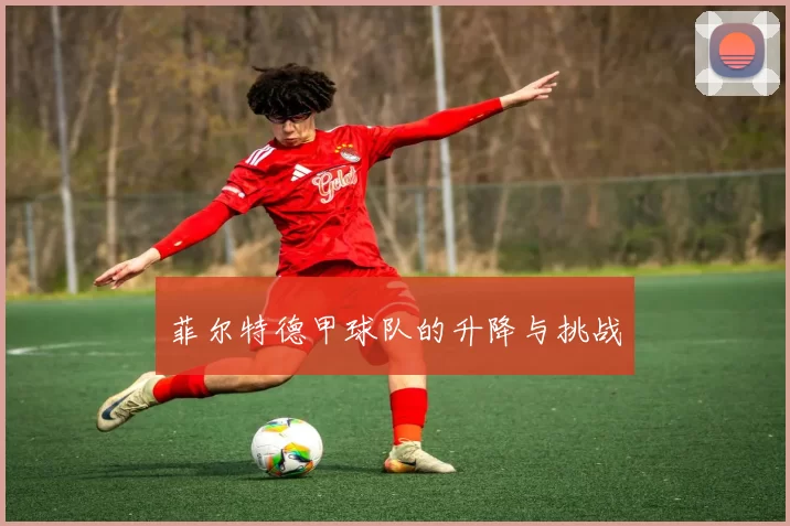 菲尔特德甲球队的升降与挑战