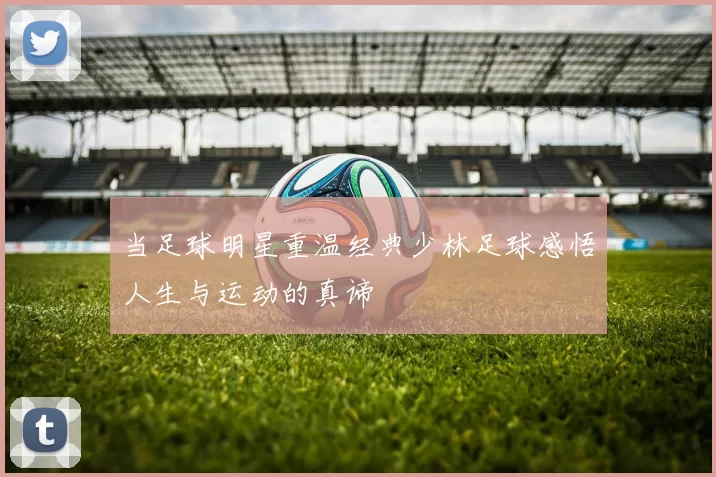 当足球明星重温经典少林足球感悟人生与运动的真谛