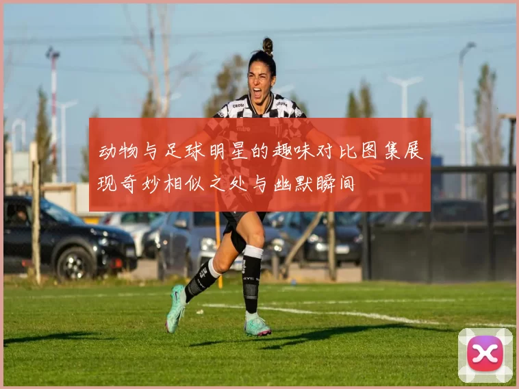 动物与足球明星的趣味对比图集展现奇妙相似之处与幽默瞬间