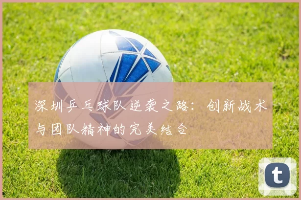 深圳乒乓球队逆袭之路：创新战术与团队精神的完美结合
