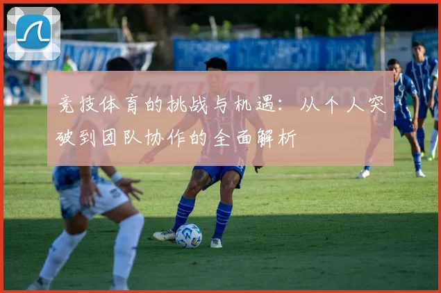竞技体育的挑战与机遇：从个人突破到团队协作的全面解析