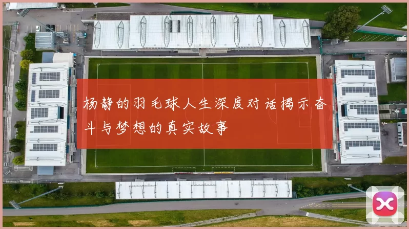 杨静的羽毛球人生深度对话揭示奋斗与梦想的真实故事
