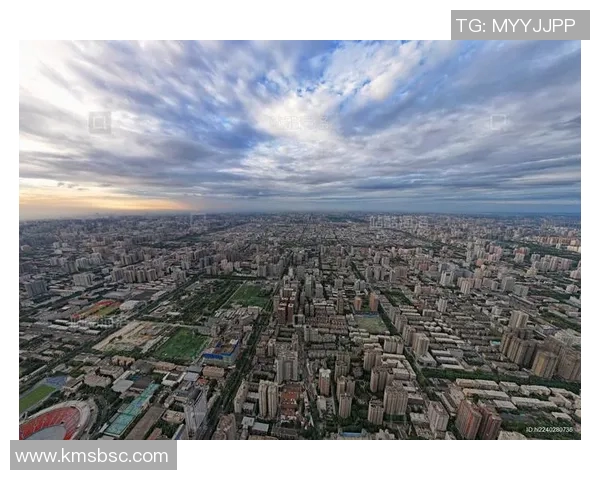 西安排球队区域防守革新探讨与战术解析全景呈现