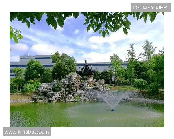 重庆羽毛球队区域防守创新之路：重塑战术与团队协作的全新篇章